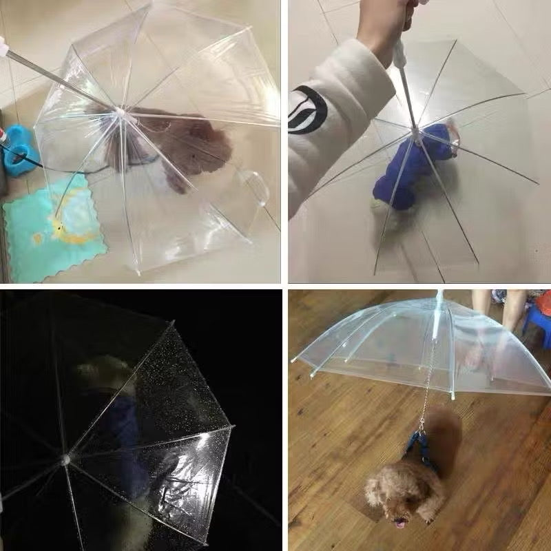 Guarda-chuva para pet exclusivo
