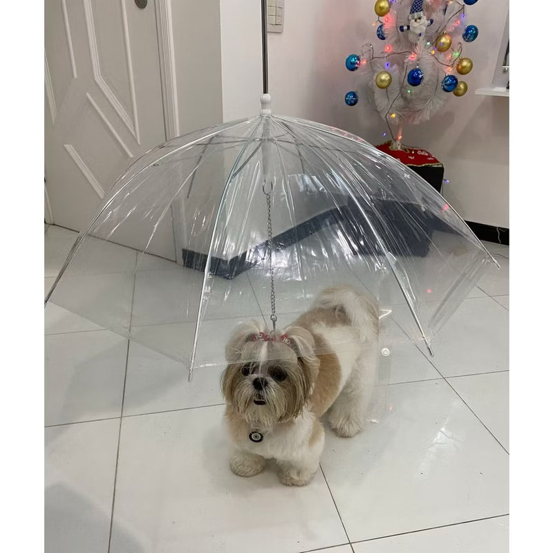 Guarda-chuva para pet exclusivo